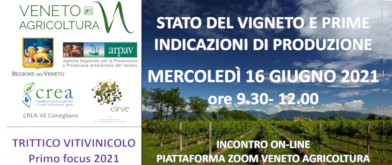 Trittico Vitivinicolo Veneto 2021