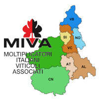 48° Congresso Nazionale MIVA - Piemonte 2021 