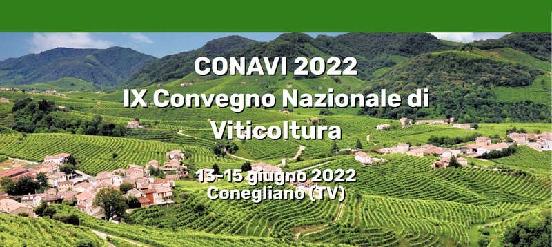 CONAVI 2022