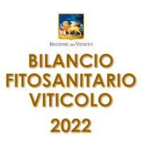 Bilancio Fitosanitario Viticolo 2022