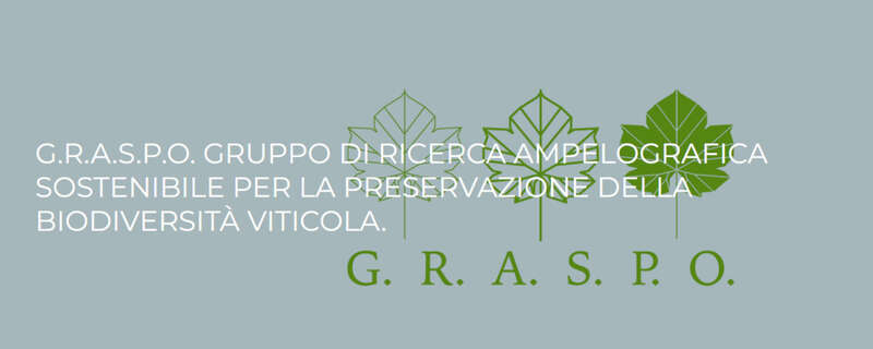 G.R.A.S.P.O. Gruppo di Ricerca Ampelografica Sostenibile per la Preservazione della biodiversità viticola