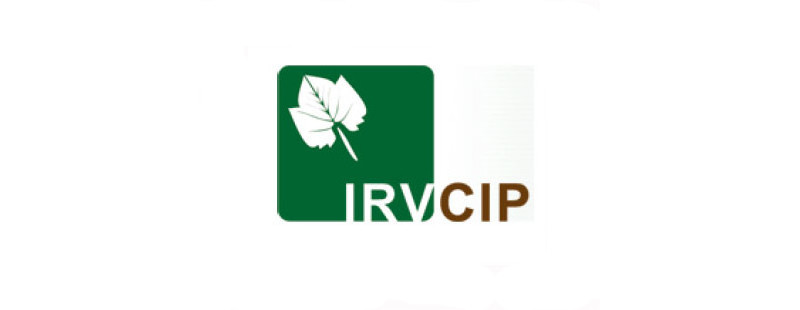IRV-CIP Internationaler Rebveredlerverband – Comité International des Pépiniéristes Viticoles