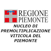 logo NUCLEO PIEMONTE 200