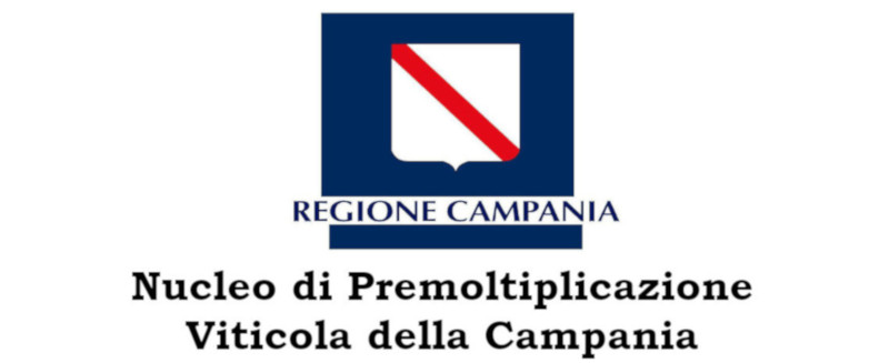 Nucleo di Premoltiplicazione Viticola della Campania