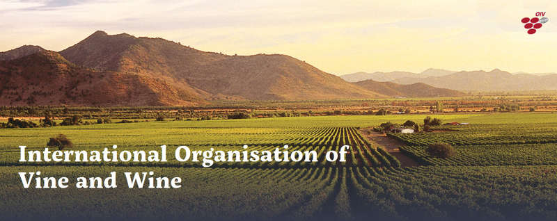 OIV Organizzazione Internazionale della Vigna e del Vino