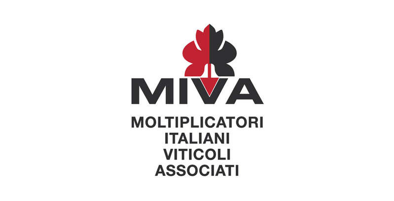 M.I.V.A. Moltiplicatori Italiani Viticoli Associati